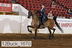 12buck_1670 proof