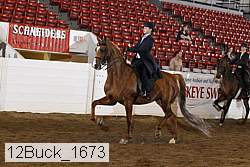 12buck_1673 proof