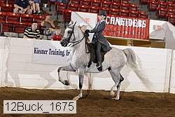 12buck_1675 proof