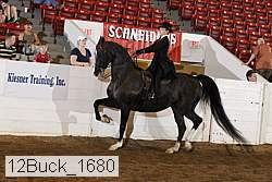 12buck_1680 proof