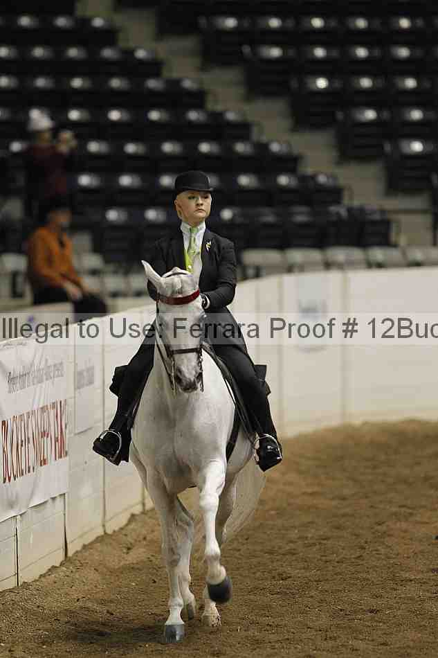 Proof 12buck_1691