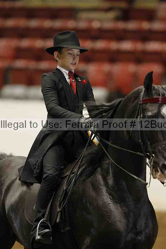 Proof 12buck_1694