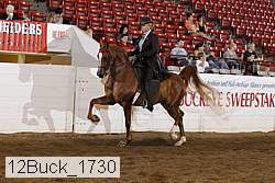 12buck_1730 proof