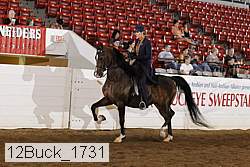 12buck_1731 proof