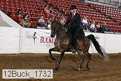 12buck_1732 proof