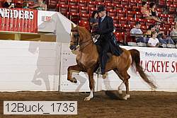 12buck_1735 proof