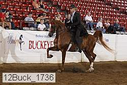 12buck_1736 proof