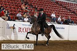 12buck_1740 proof