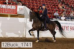 12buck_1741 proof