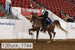 12buck_1744 proof