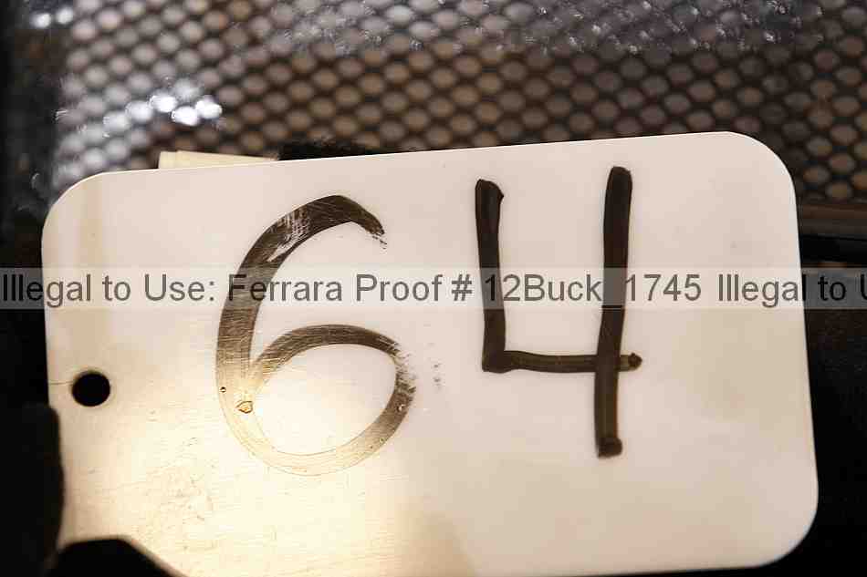 Proof 12buck_1745