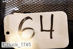 12buck_1745 proof