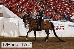 12buck_1757 proof