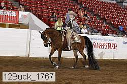 12buck_1767 proof