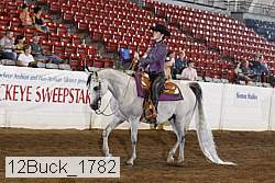 12buck_1782 proof