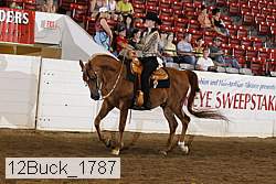 12buck_1787 proof
