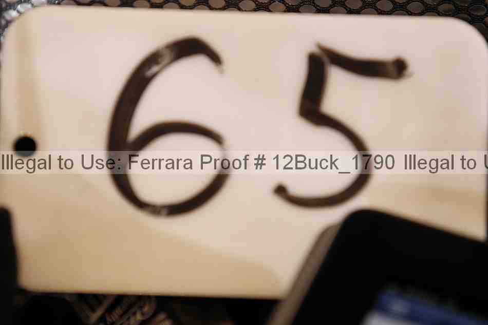Proof 12buck_1790