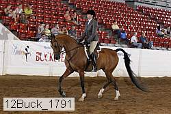 12buck_1791 proof