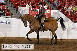 12buck_1792 proof
