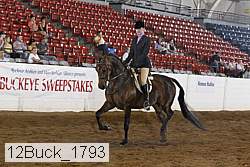 12buck_1793 proof