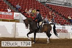 12buck_1794 proof