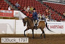 12buck_1797 proof