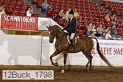 12buck_1798 proof
