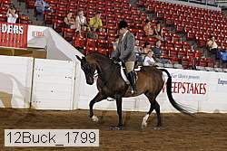 12buck_1799 proof