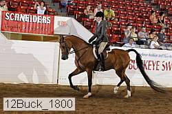 12buck_1800 proof