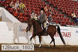 12buck_1802 proof