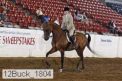 12buck_1804 proof