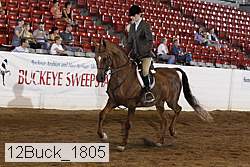 12buck_1805 proof