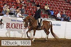 12buck_1808 proof