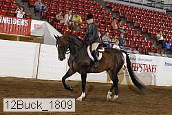 12buck_1809 proof
