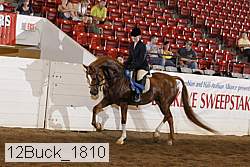 12buck_1810 proof