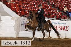 12buck_1812 proof