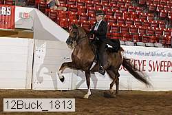 12buck_1813 proof