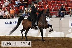 12buck_1814 proof