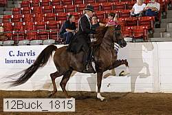 12buck_1815 proof
