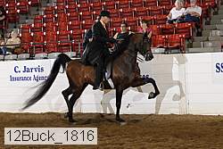 12buck_1816 proof