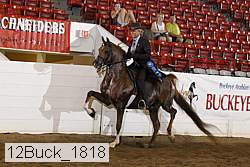 12buck_1818 proof