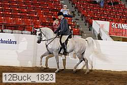 12buck_1823 proof