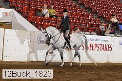 12buck_1825 proof