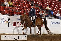12buck_1828 proof