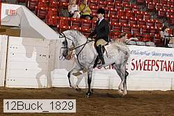 12buck_1829 proof