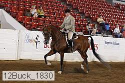 12buck_1830 proof