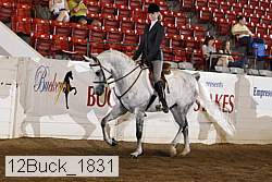 12buck_1831 proof