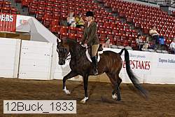12buck_1833 proof