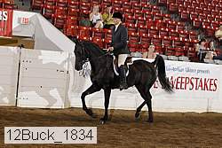 12buck_1834 proof