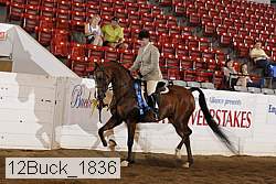 12buck_1836 proof